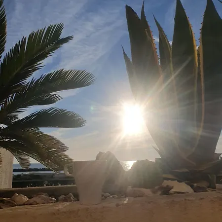 Avec Terrasse En Front De Appartamento *